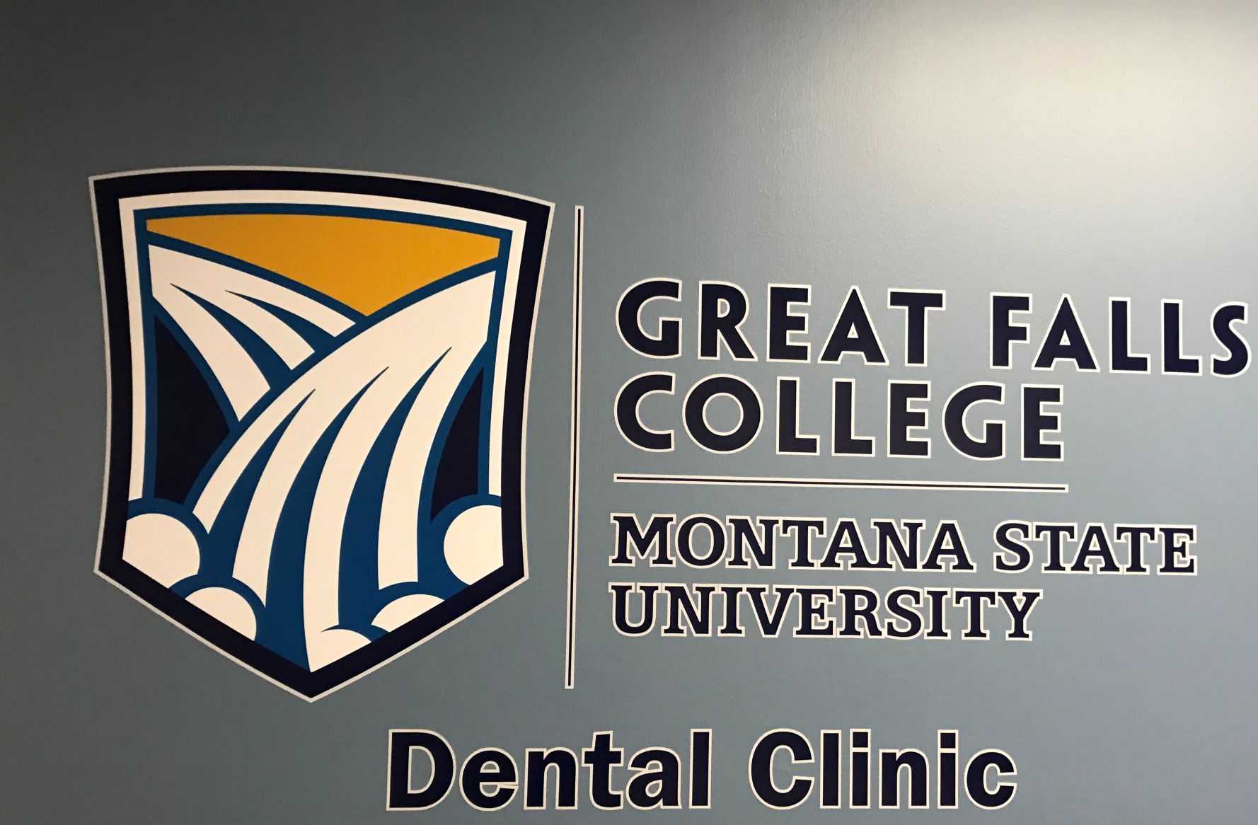 gfc msu